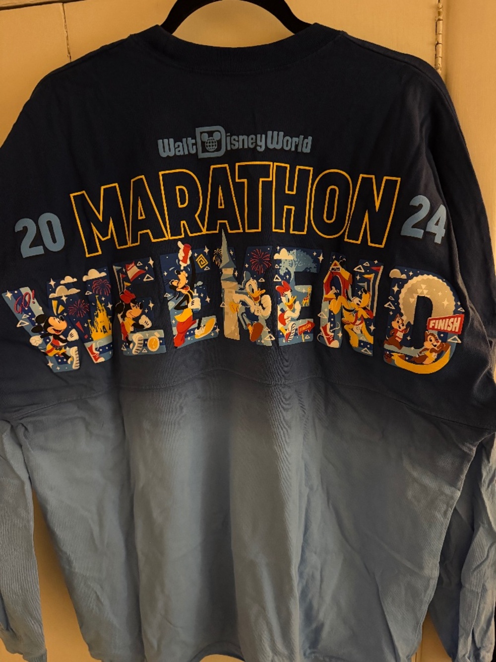 Run Disney marathon Spirit Jersey